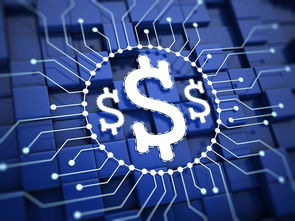 楊望 以數(shù)字貨幣破題普惠金融，數(shù)字技術(shù)服務(wù)實(shí)體經(jīng)濟(jì)新路徑