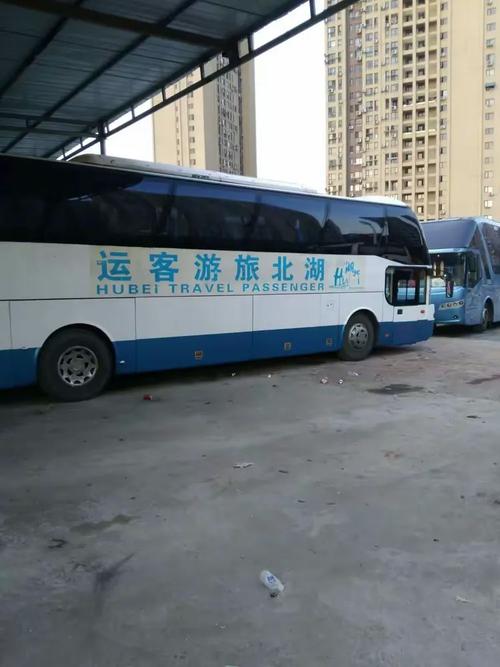 全場景出行服務(wù) 從省際包車到戶外拓展的一站式解決方案